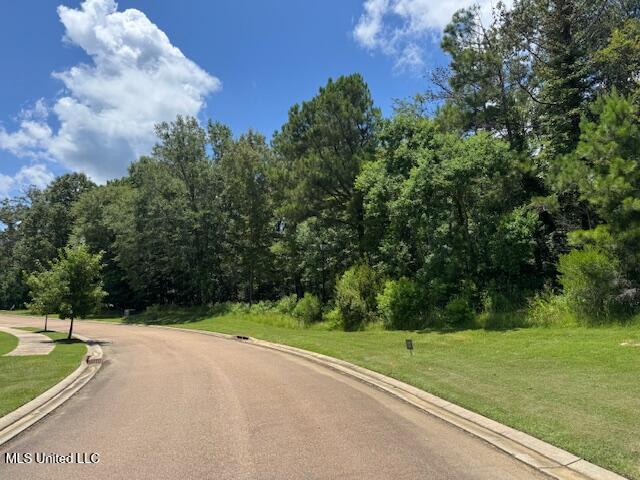 131 Stone Lake Drive