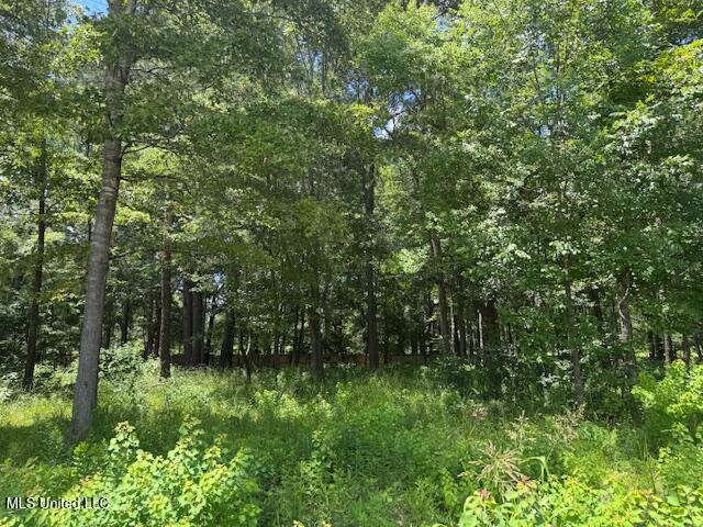 131 Stone Lake Drive