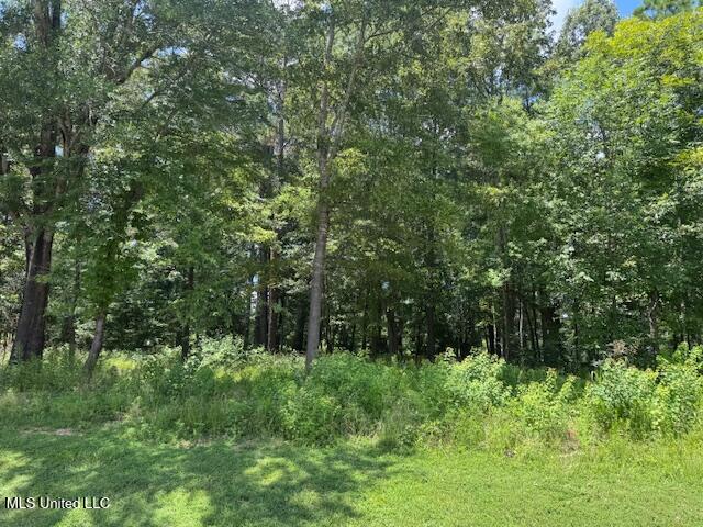 131 Stone Lake Drive