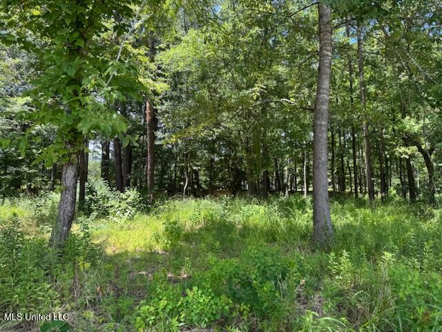131 Stone Lake Drive