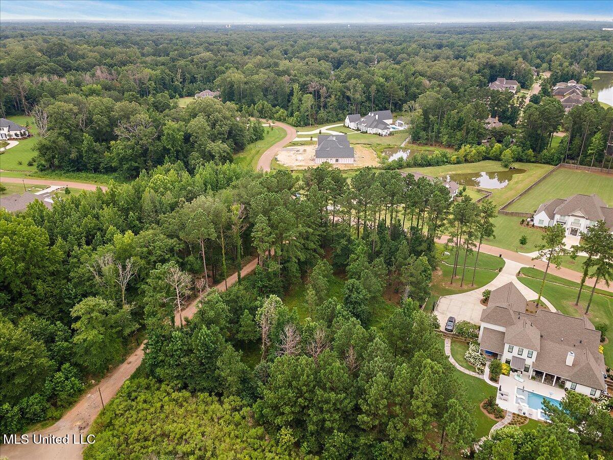 Aerial view of a wooded neighborhood, with a home under construction on a cleared lot near curving roads.