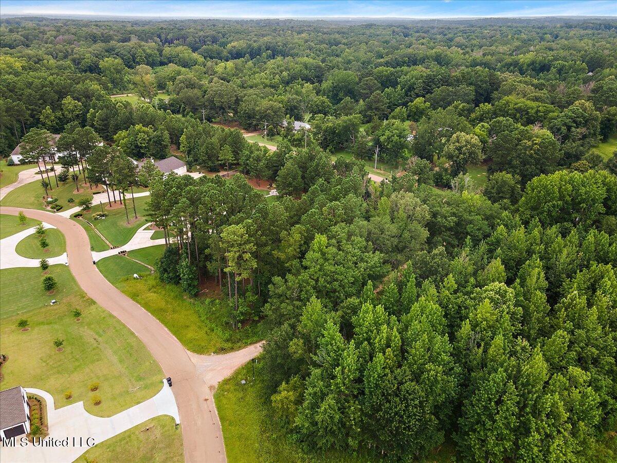 Aerial view of a wooded neighborhood with homes and curving streets amid dense trees.