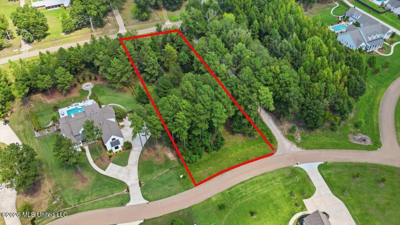 Wooded residential lot outlined in red, with road frontage and neighboring homes.