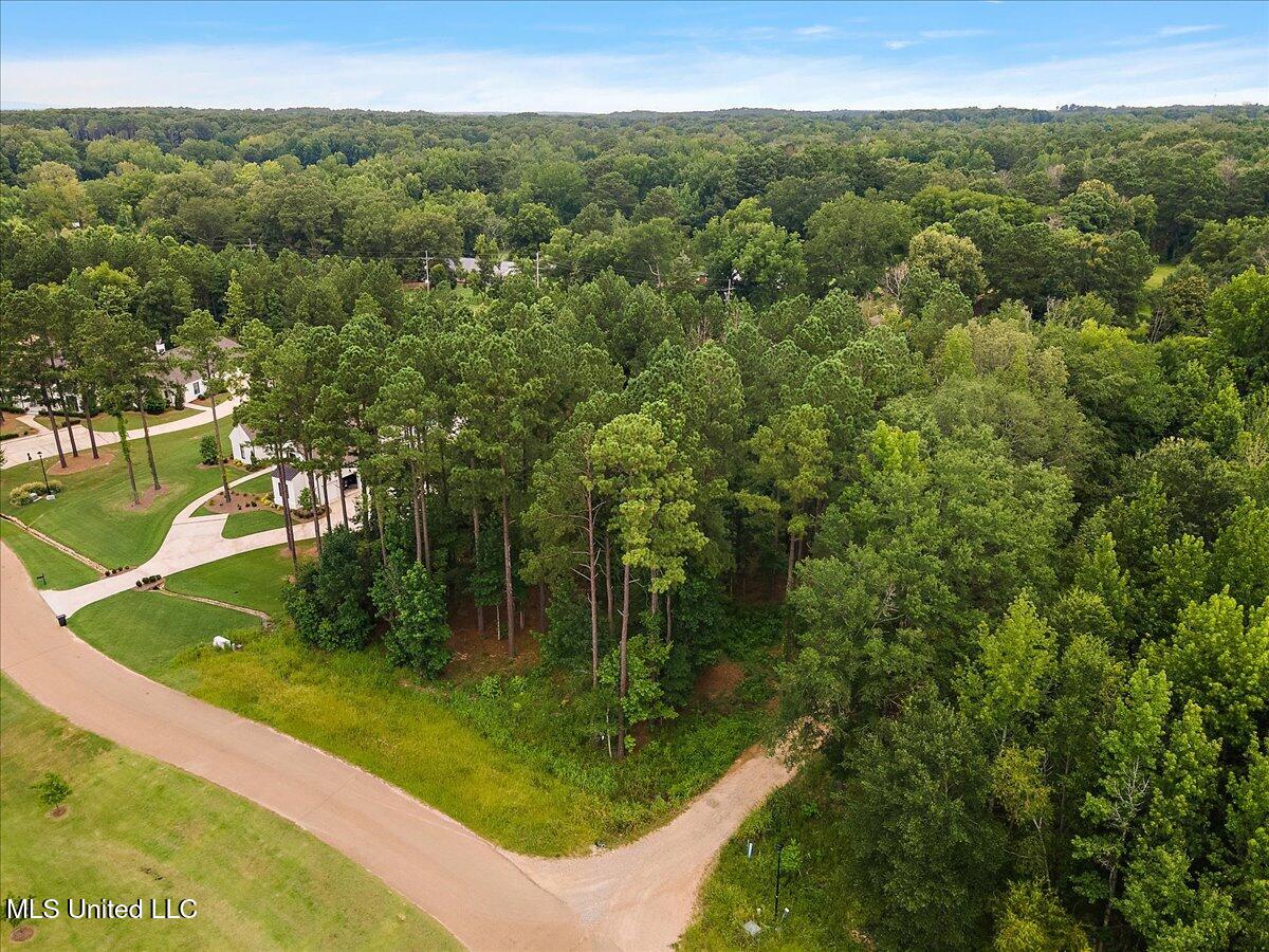Aerial view of a wooded property beside a paved road, with nearby homes and dense trees.