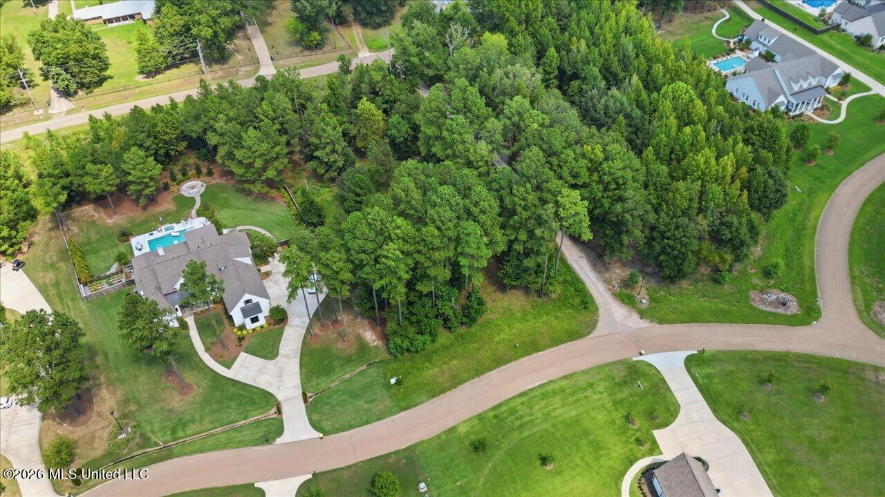 Aerial view of a wooded home with a pool and curved driveway.