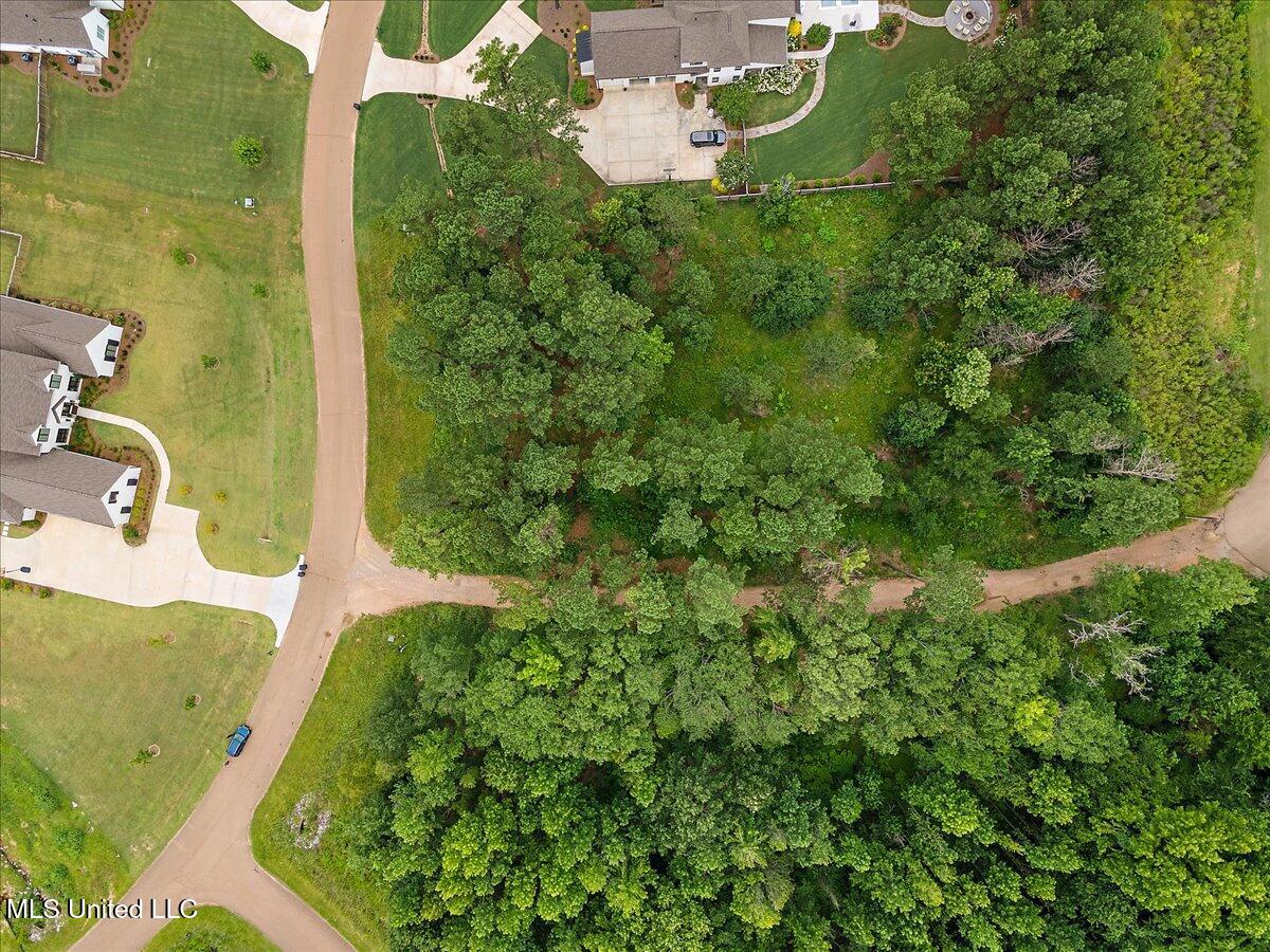 Aerial view of a wooded property beside a neighborhood street, with nearby homes.