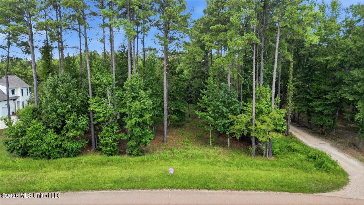 Aerial view of a wooded lot with a grassy roadside clearing, dirt driveway, and neighboring home.