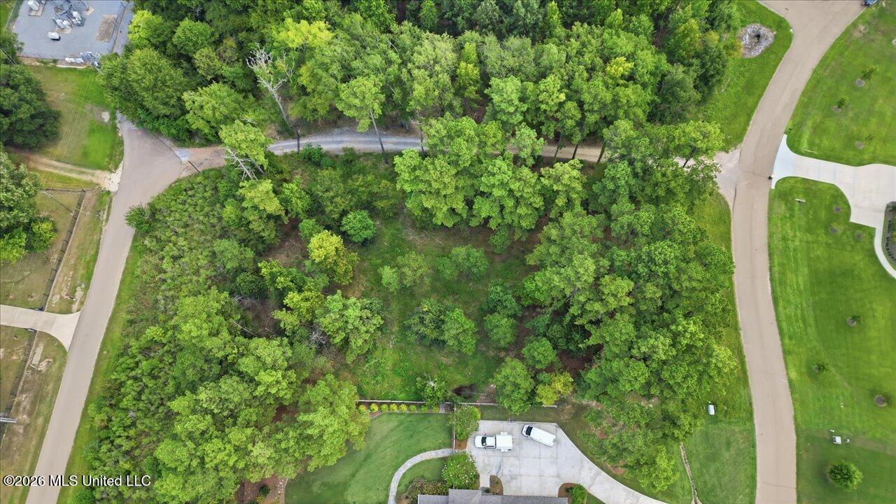 Aerial view of a wooded residential lot bordered by neighborhood streets.