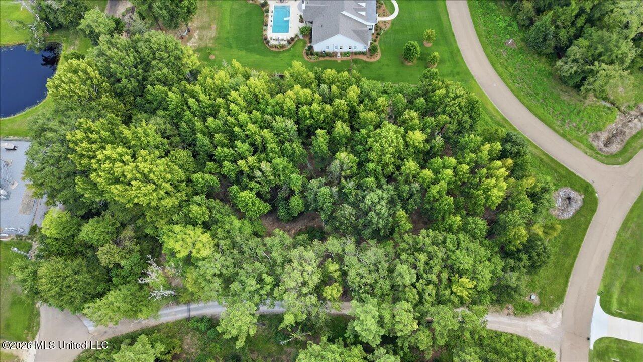 Aerial view of a wooded residential lot beside roads, with a pond and homes nearby.