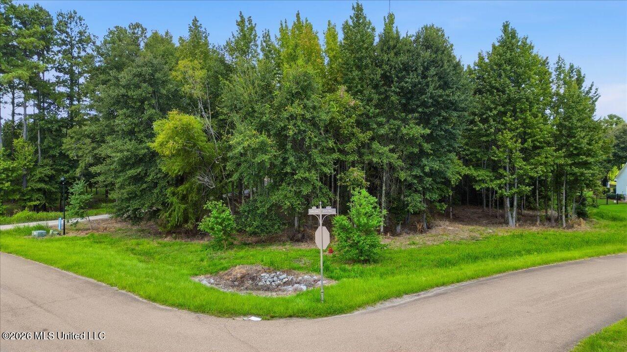Wooded vacant lot at a road corner, with a real estate sign and grassy frontage.