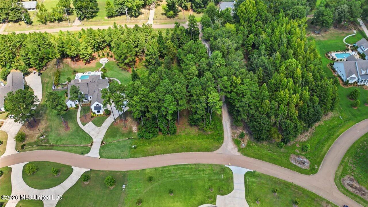 Wooded residential lot bordered by neighborhood streets and neighboring homes.