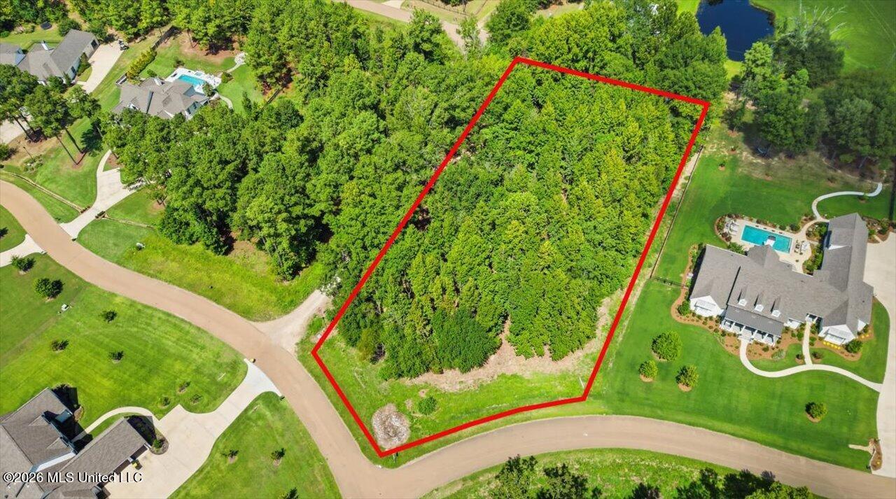Wooded residential lot outlined in red, with a curved road and neighboring homes nearby.