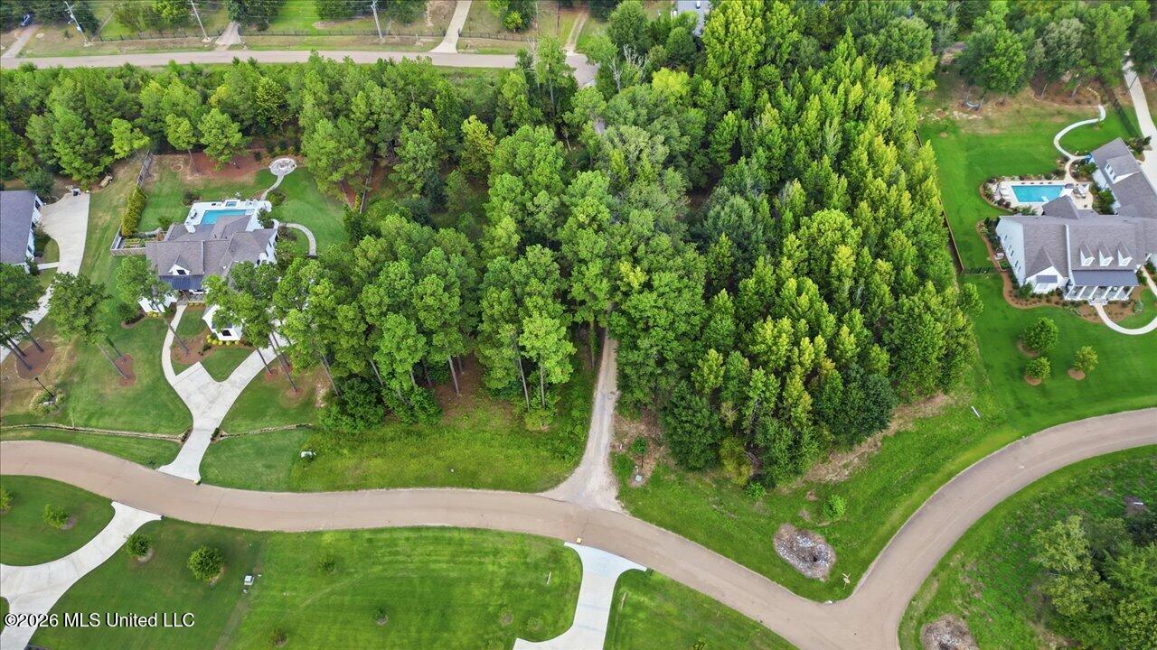 Aerial view of a wooded vacant lot bordered by roads, with neighboring homes on either side.