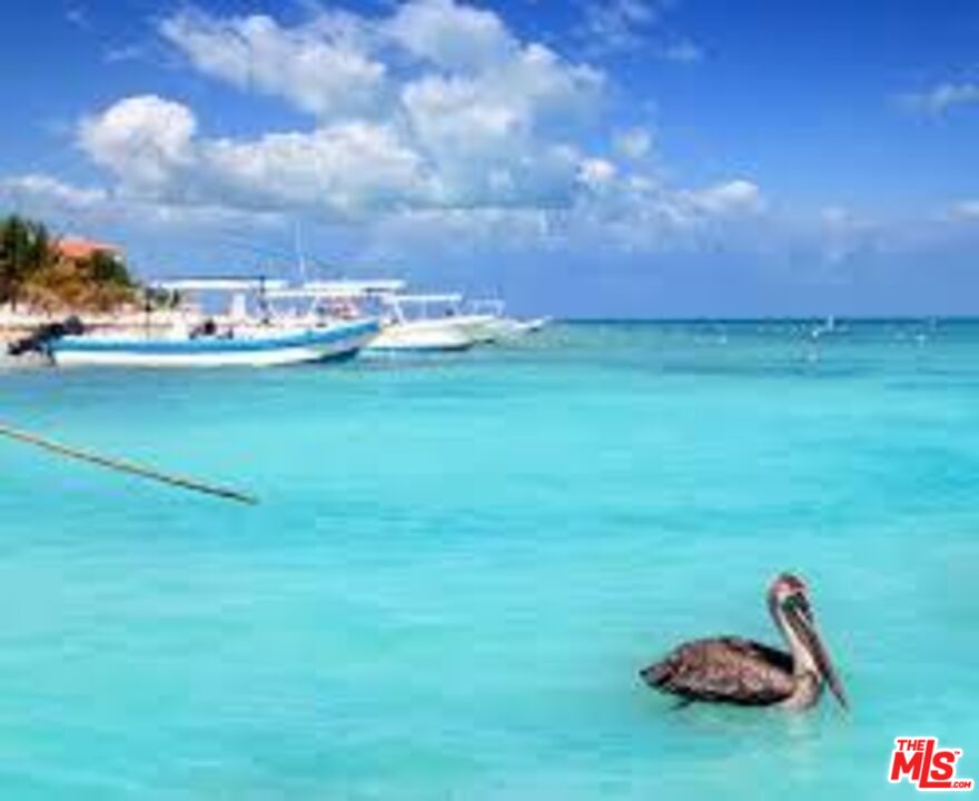 0 Puerto Morelos, Quintana Roo, Cancun Mexico