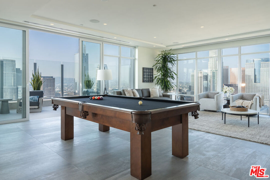 825 S Hill St Unit: Penthouse