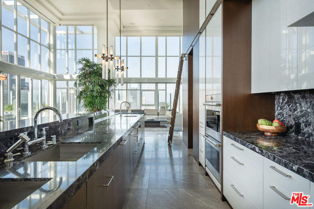 825 S Hill St Unit: Penthouse