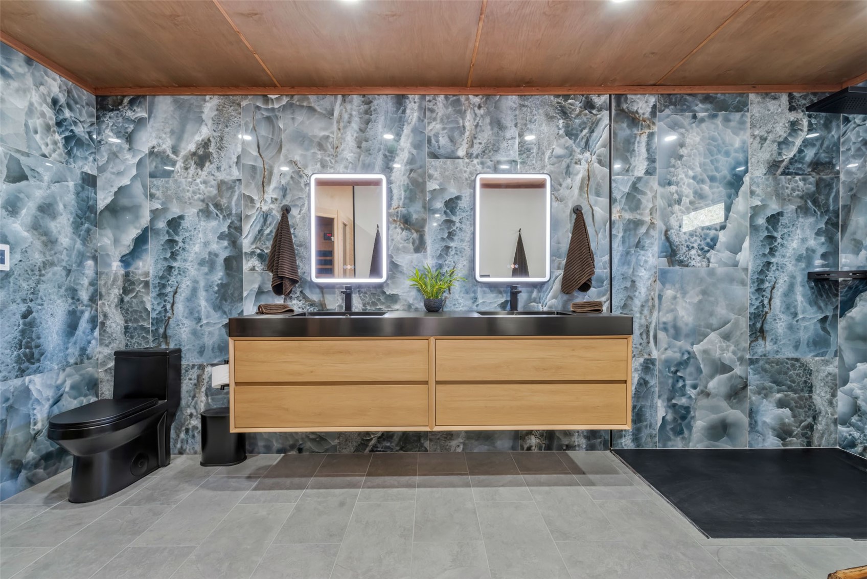 1225 Buckskin DRIVE