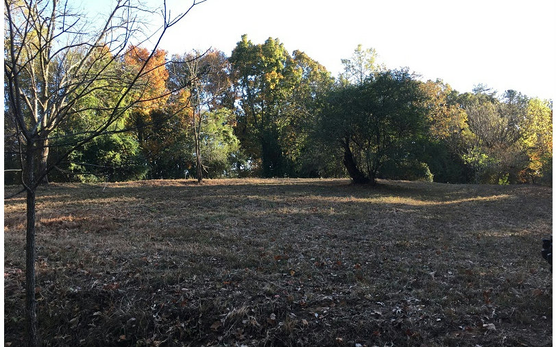 222 Sherri Leigh Estate