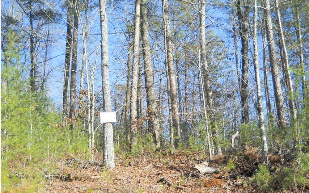 10.04 Joel Walker Road