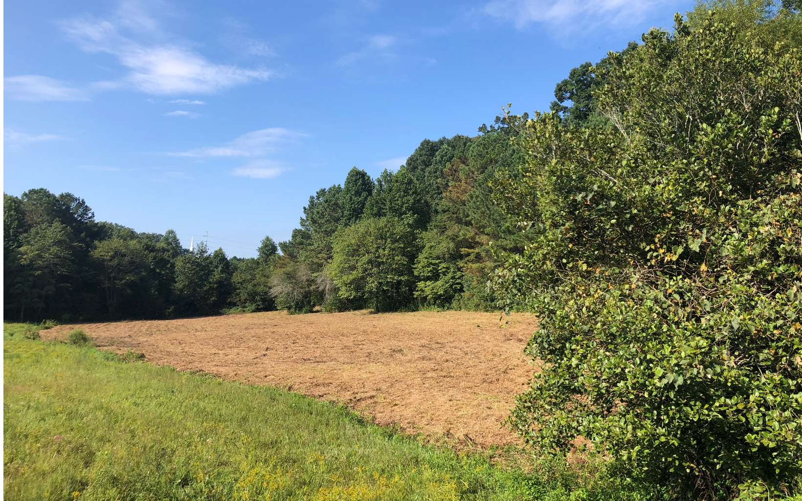 LT 29 Crabapple Lane