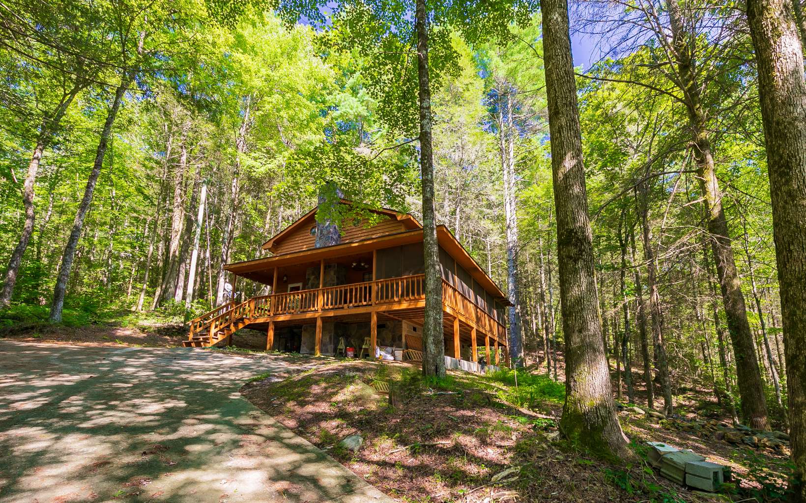 71 Cohutta Forest