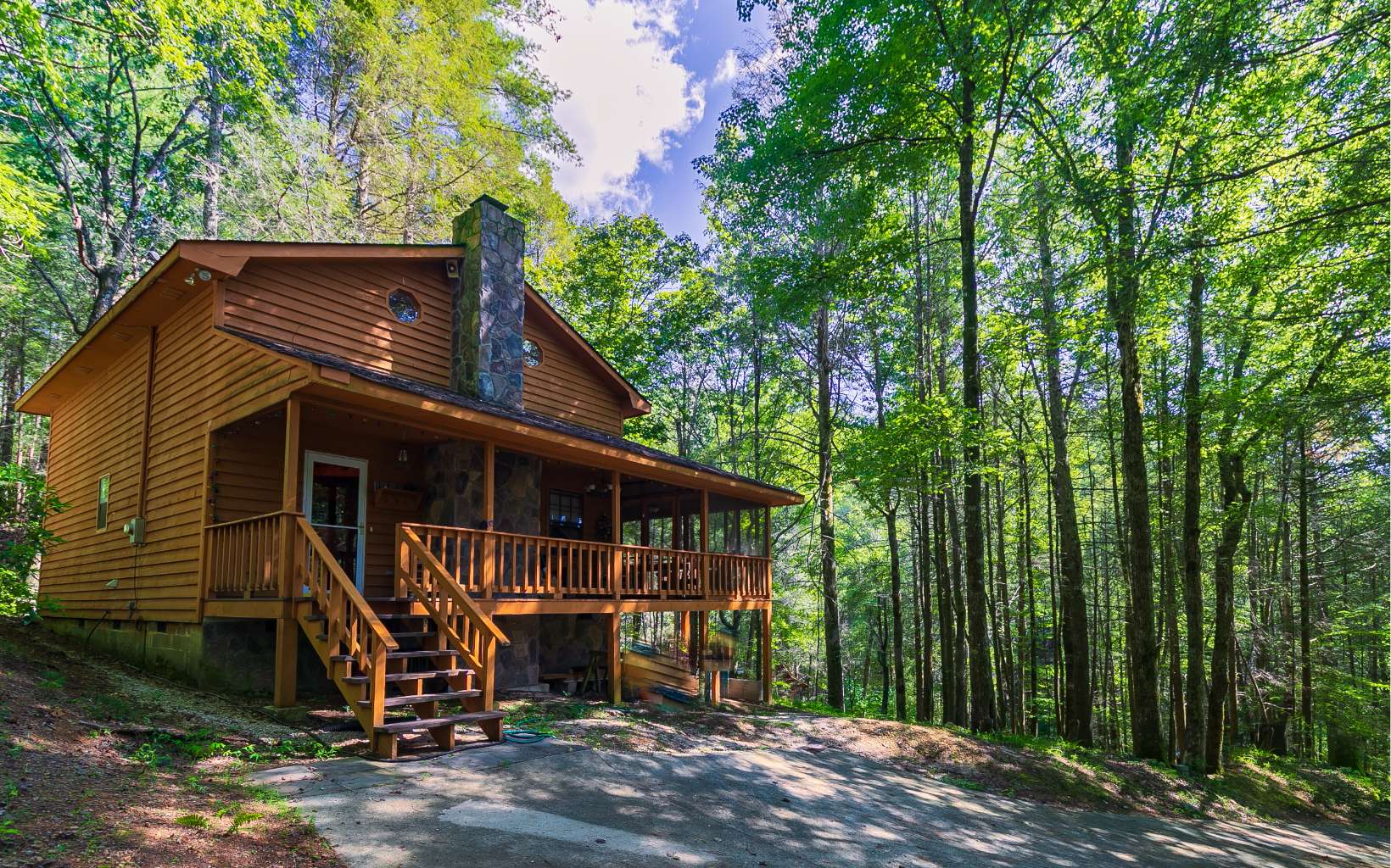 71 Cohutta Forest