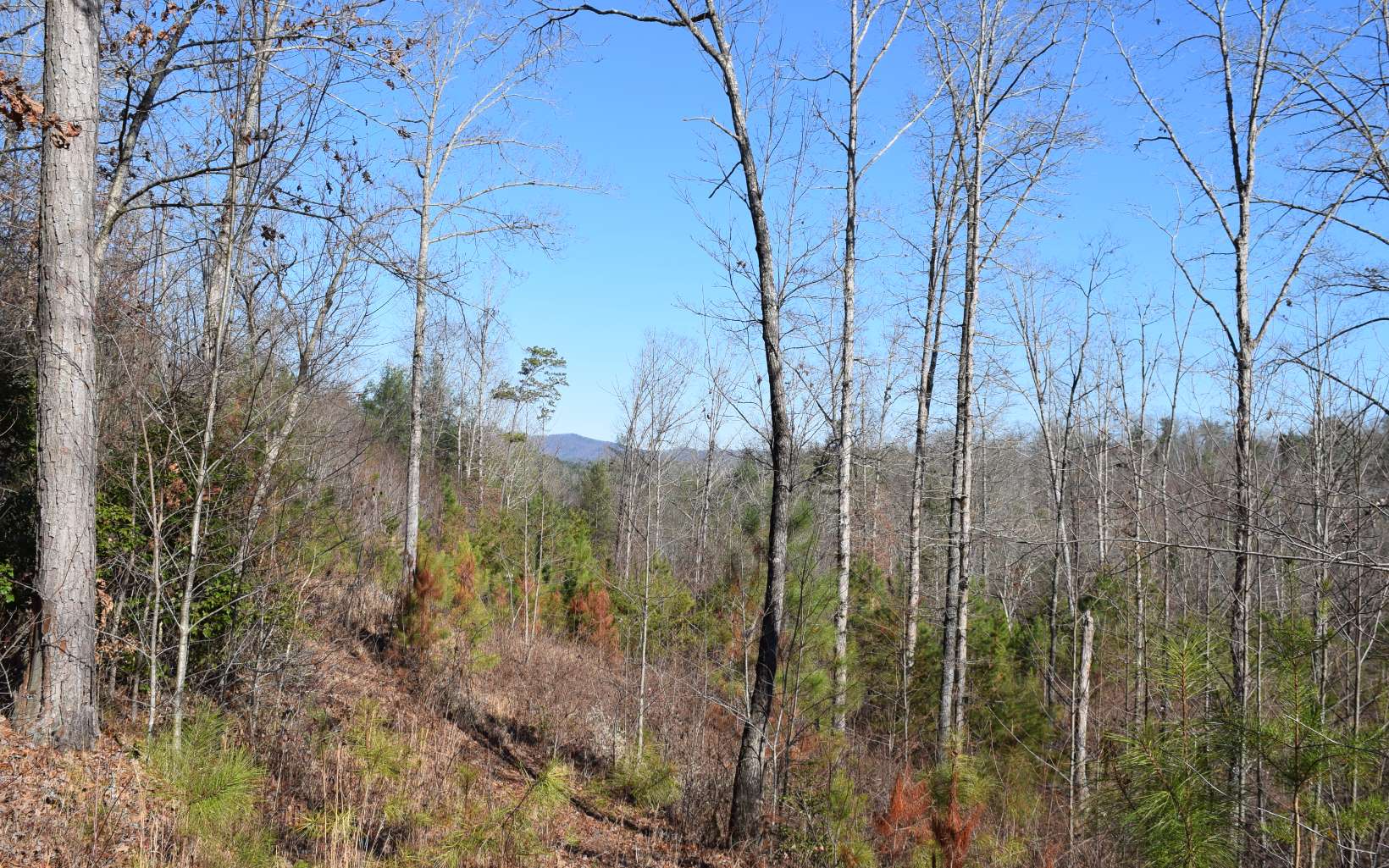 10.18 Charlotte Mountain Road