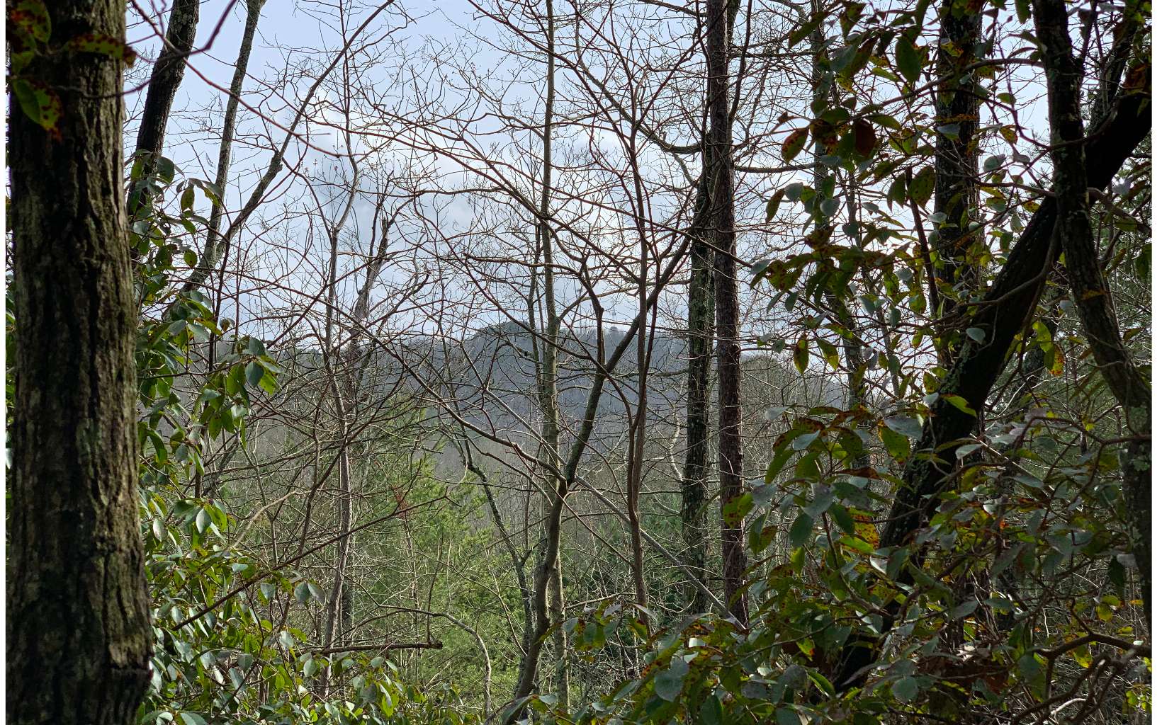 LT 3 Talona Lake Lane