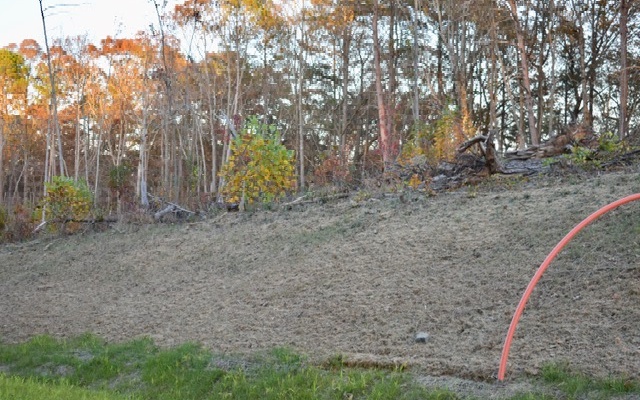 LT 51 Linger Longer Drive