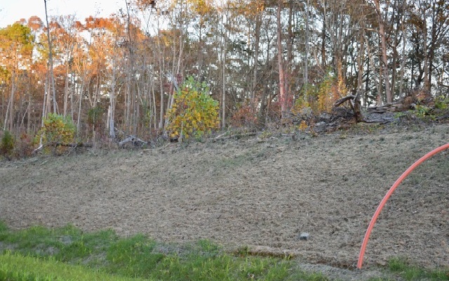 LT 51 Linger Longer Drive