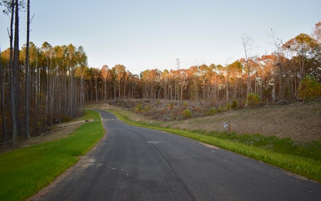 LT 51 Linger Longer Drive