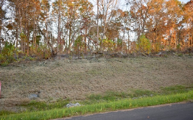 LT 52 Linger Longer Drive