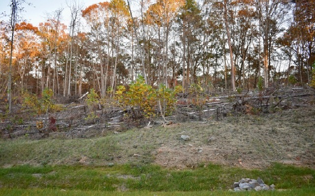 LT 52 Linger Longer Drive