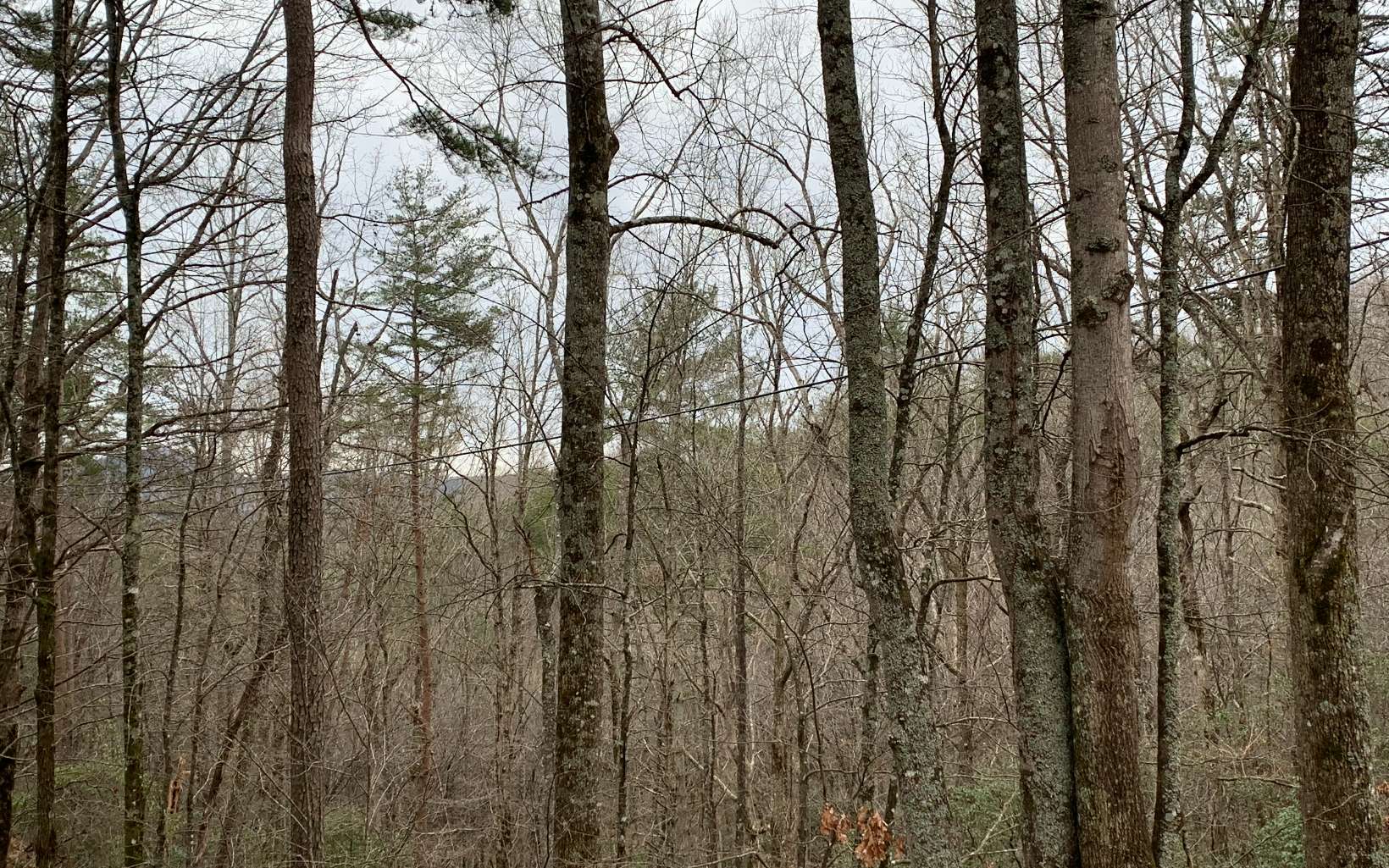 LT 21 Old Parker Place Road