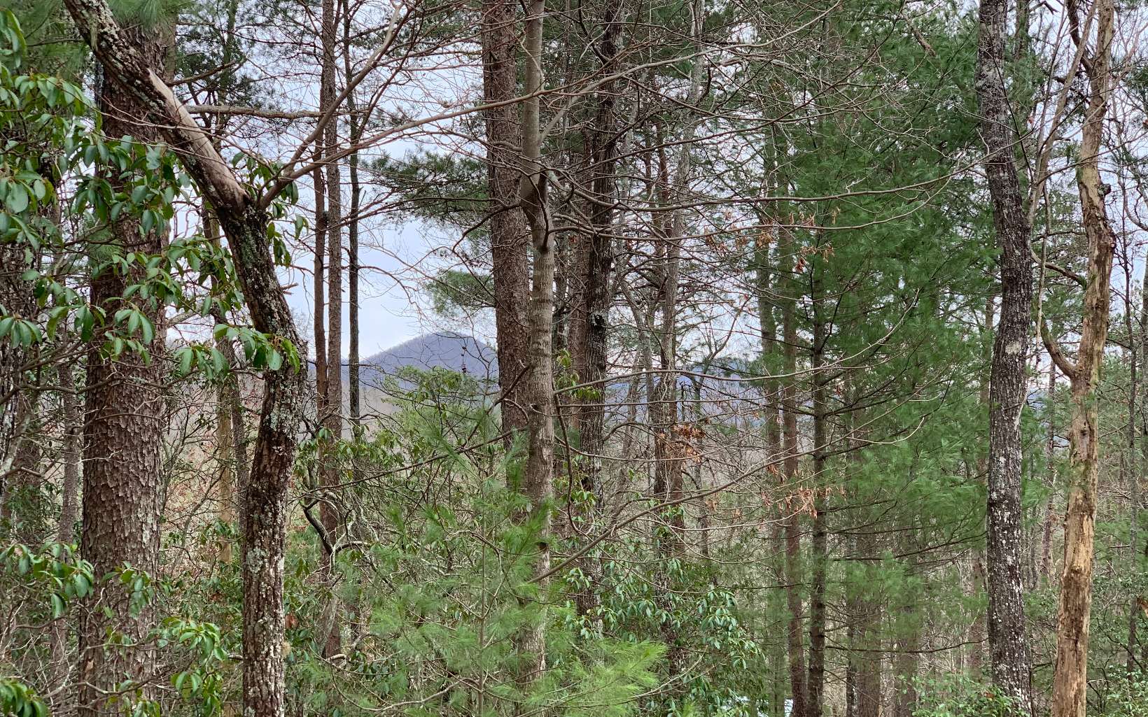 LT 21 Old Parker Place Road