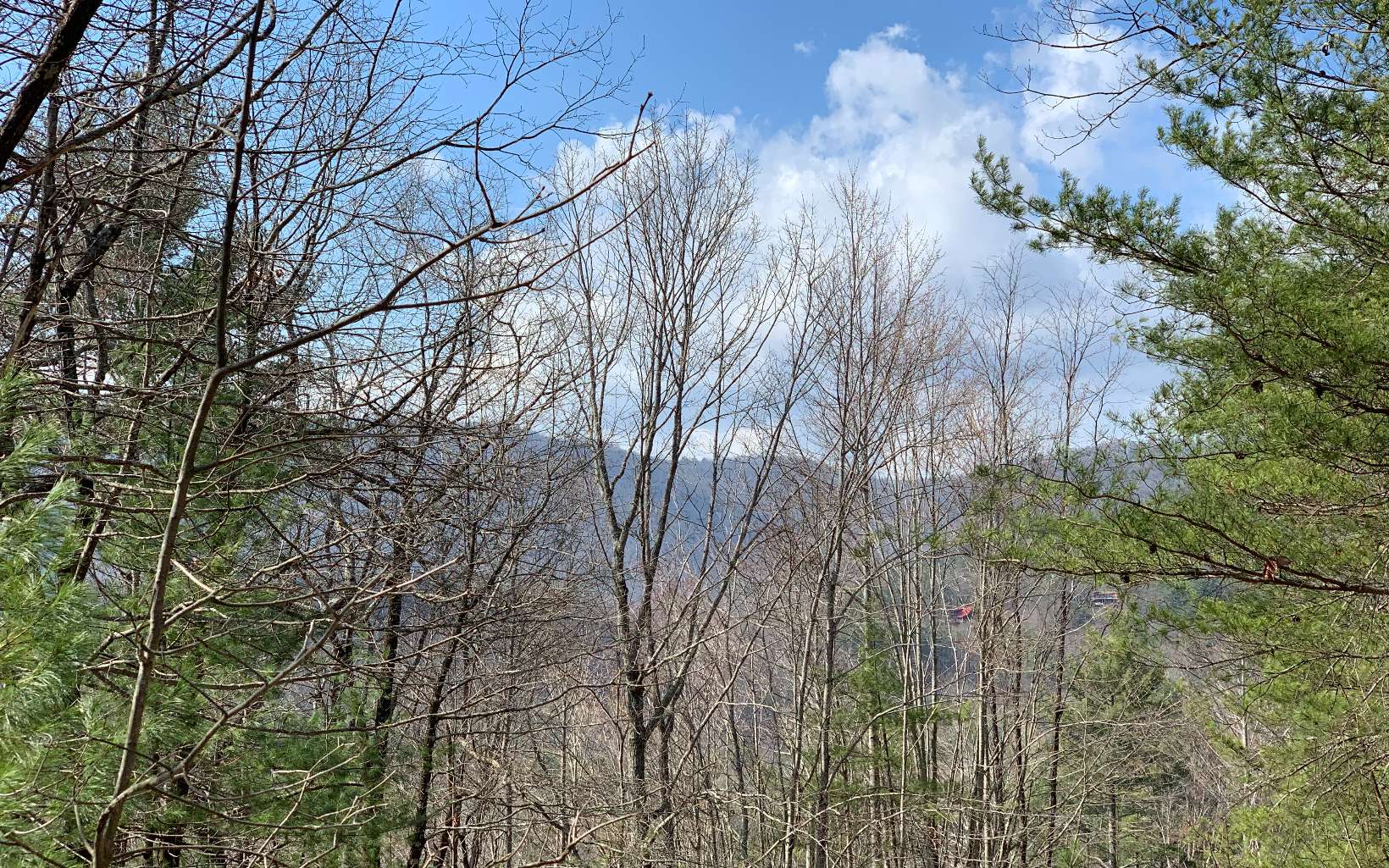 46-48 Gobbler Knob Drive