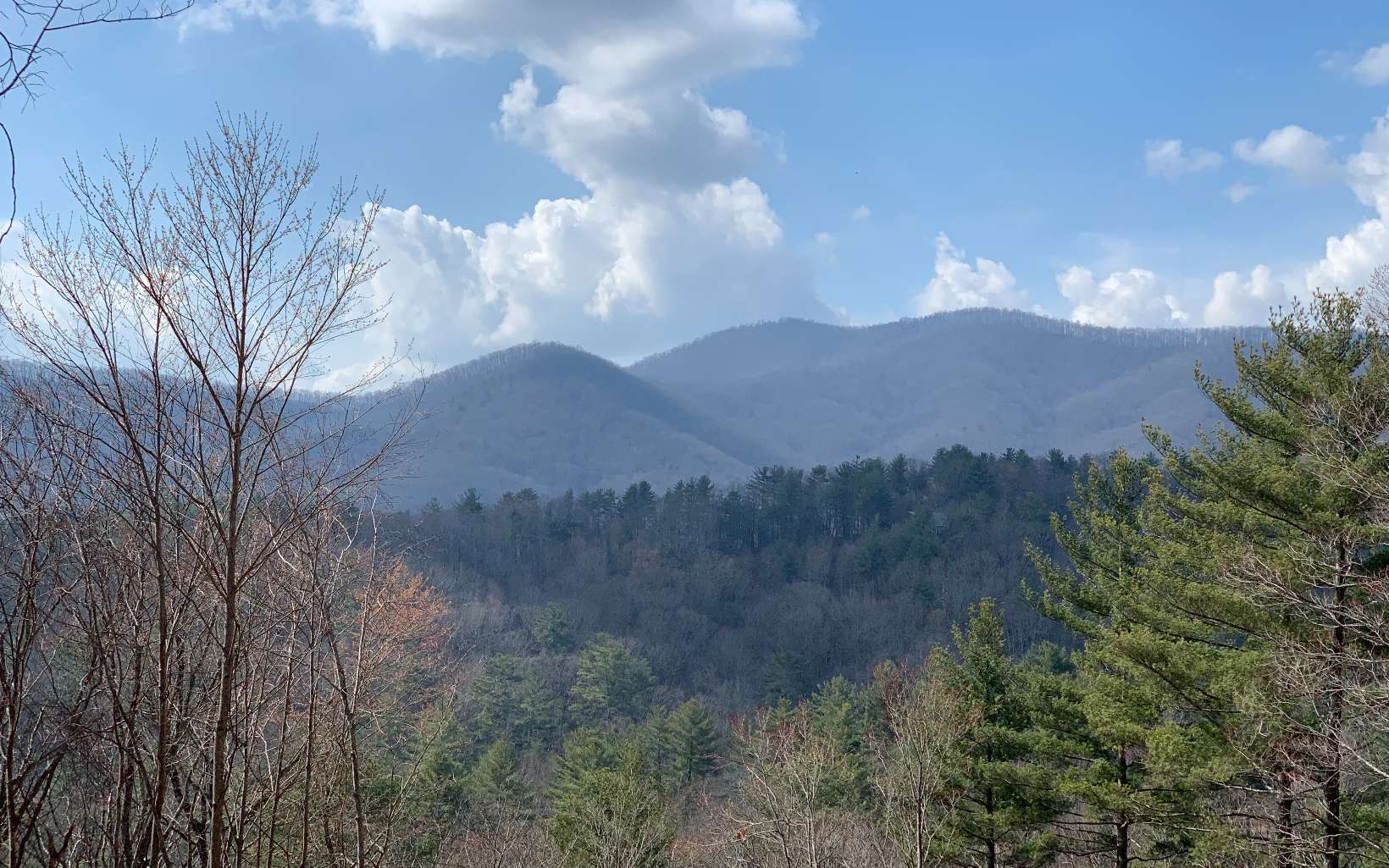 46-48 Gobbler Knob Drive