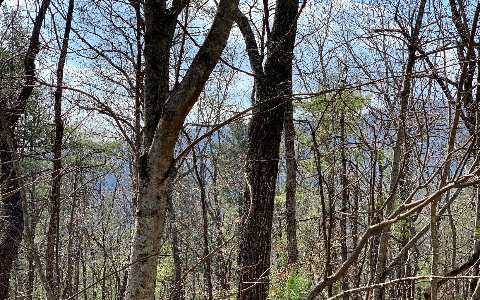 46-48 Gobbler Knob Drive