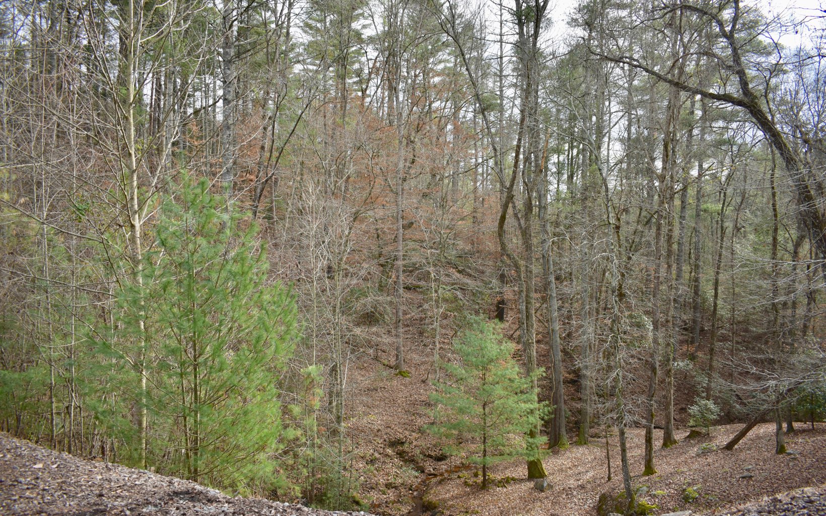 LOT 9 Cartecay Crest