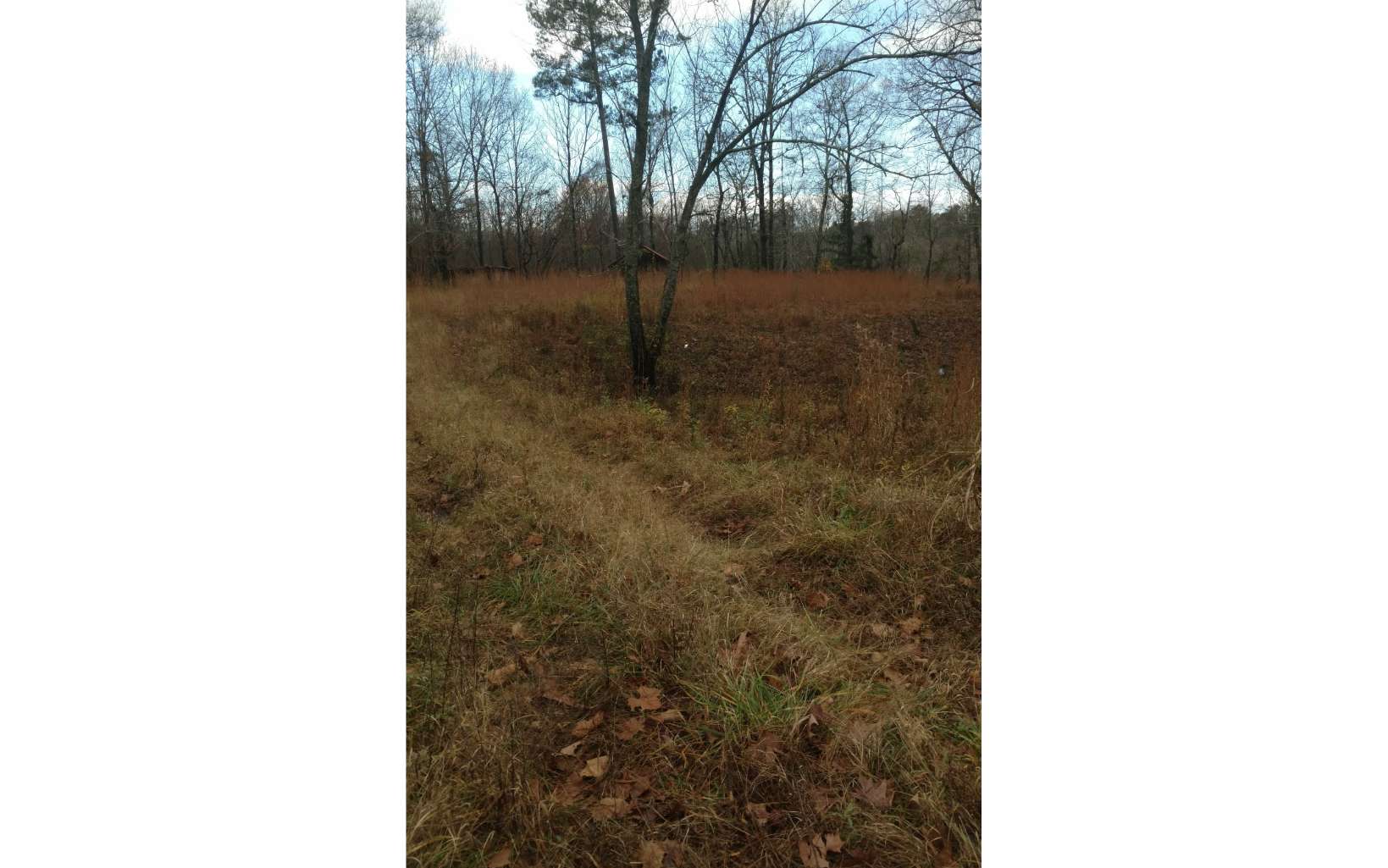 143 Smyrna Ramhurst Road