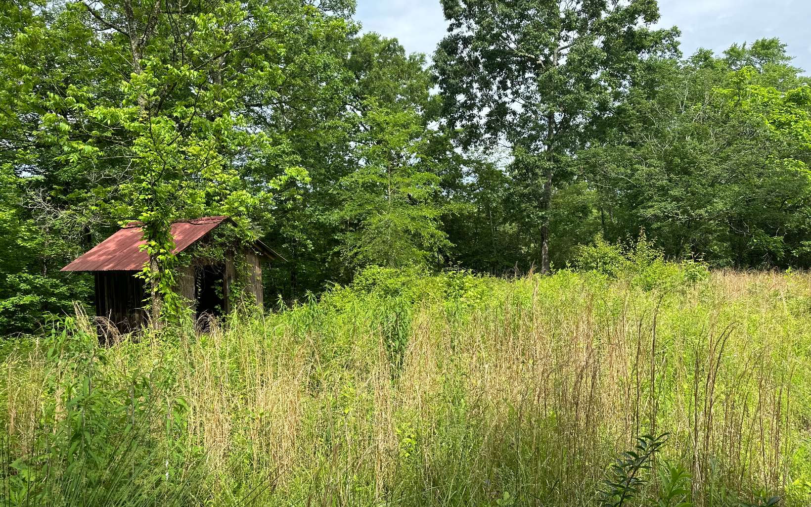 143 Smyrna Ramhurst Road