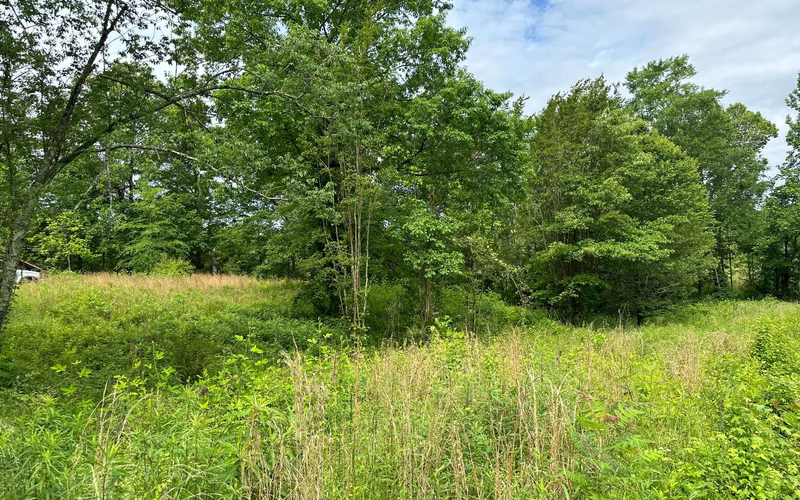 143 Smyrna Ramhurst Road