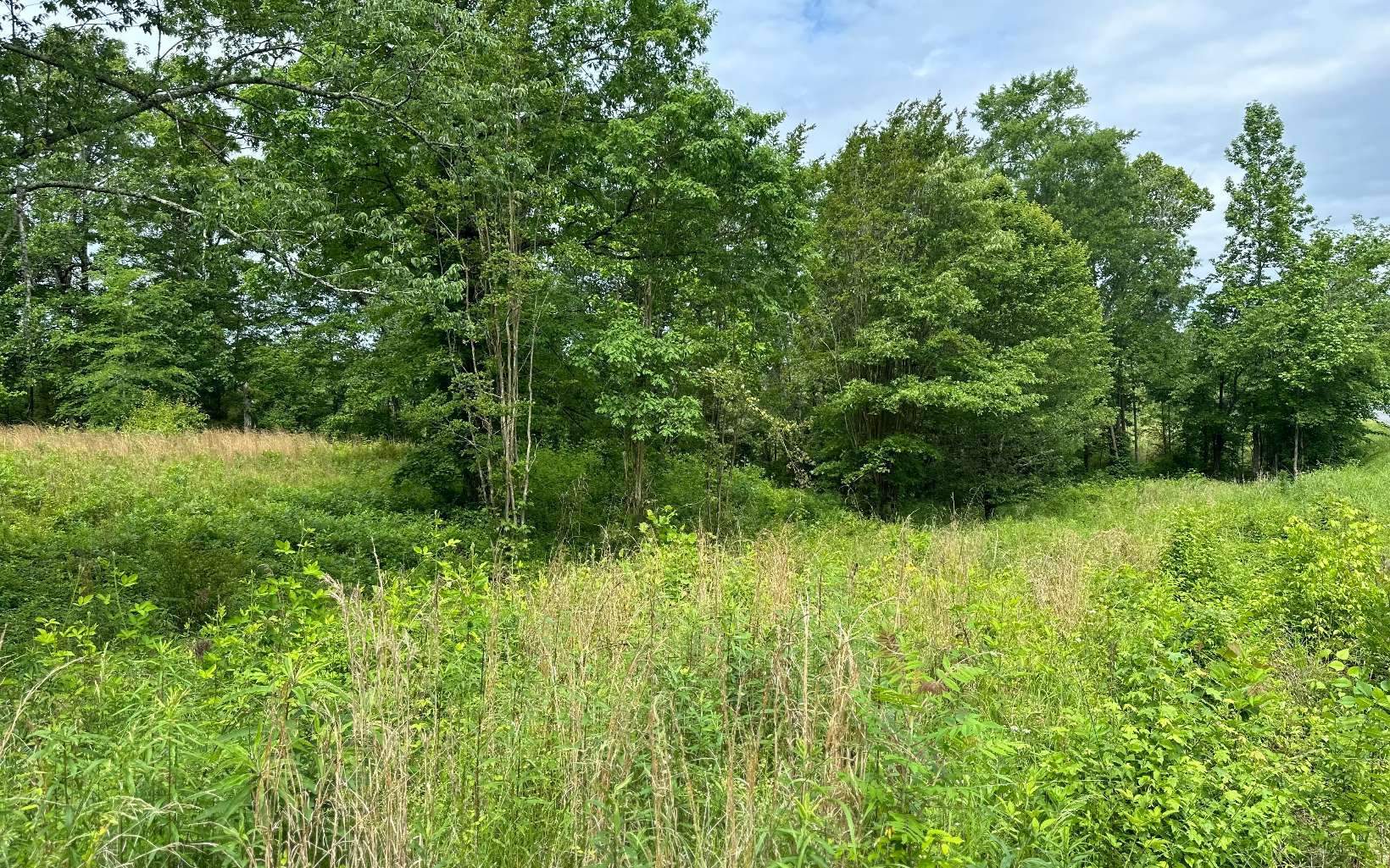 143 Smyrna Ramhurst Road