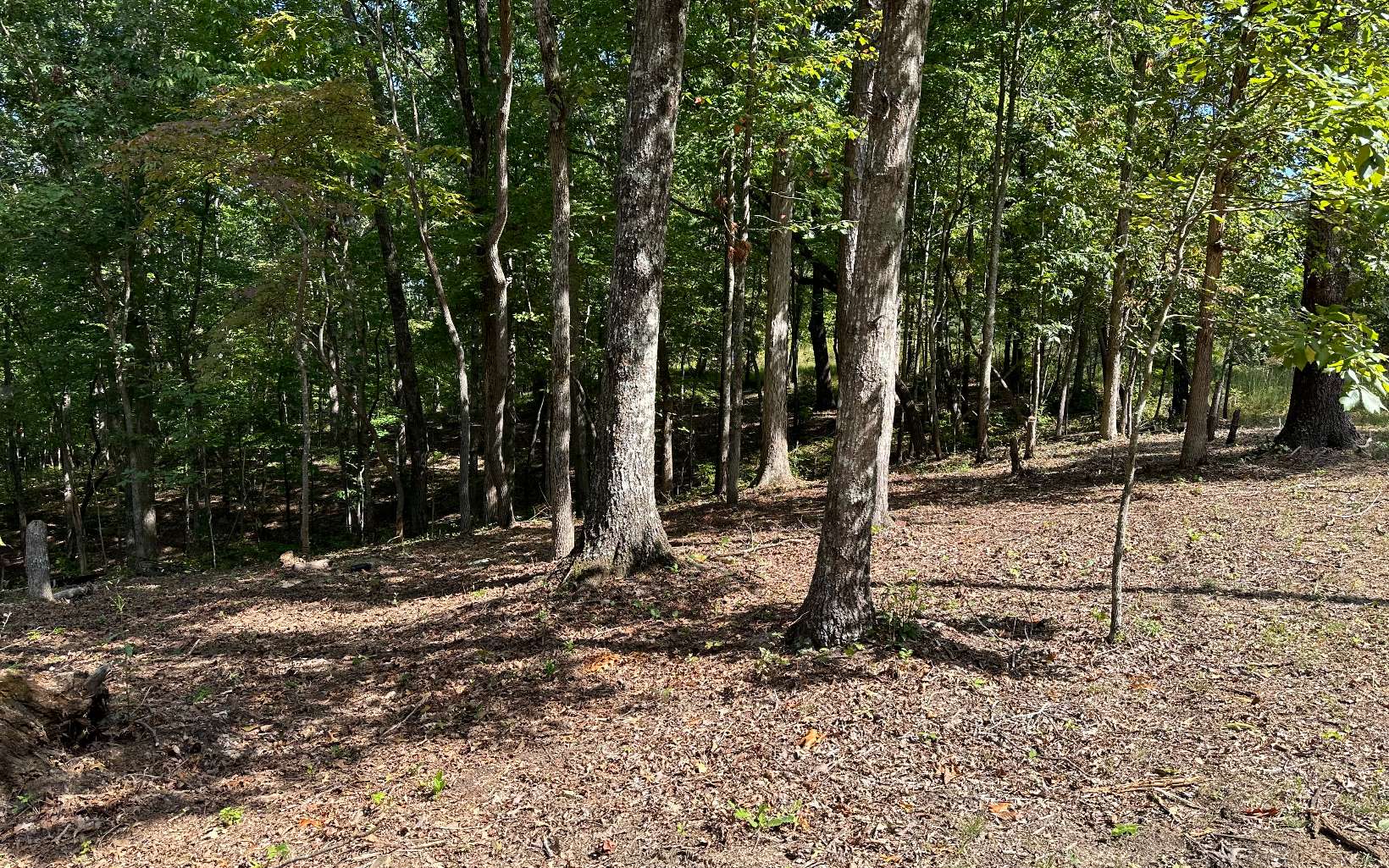 LOT 4 Mission Hill Road