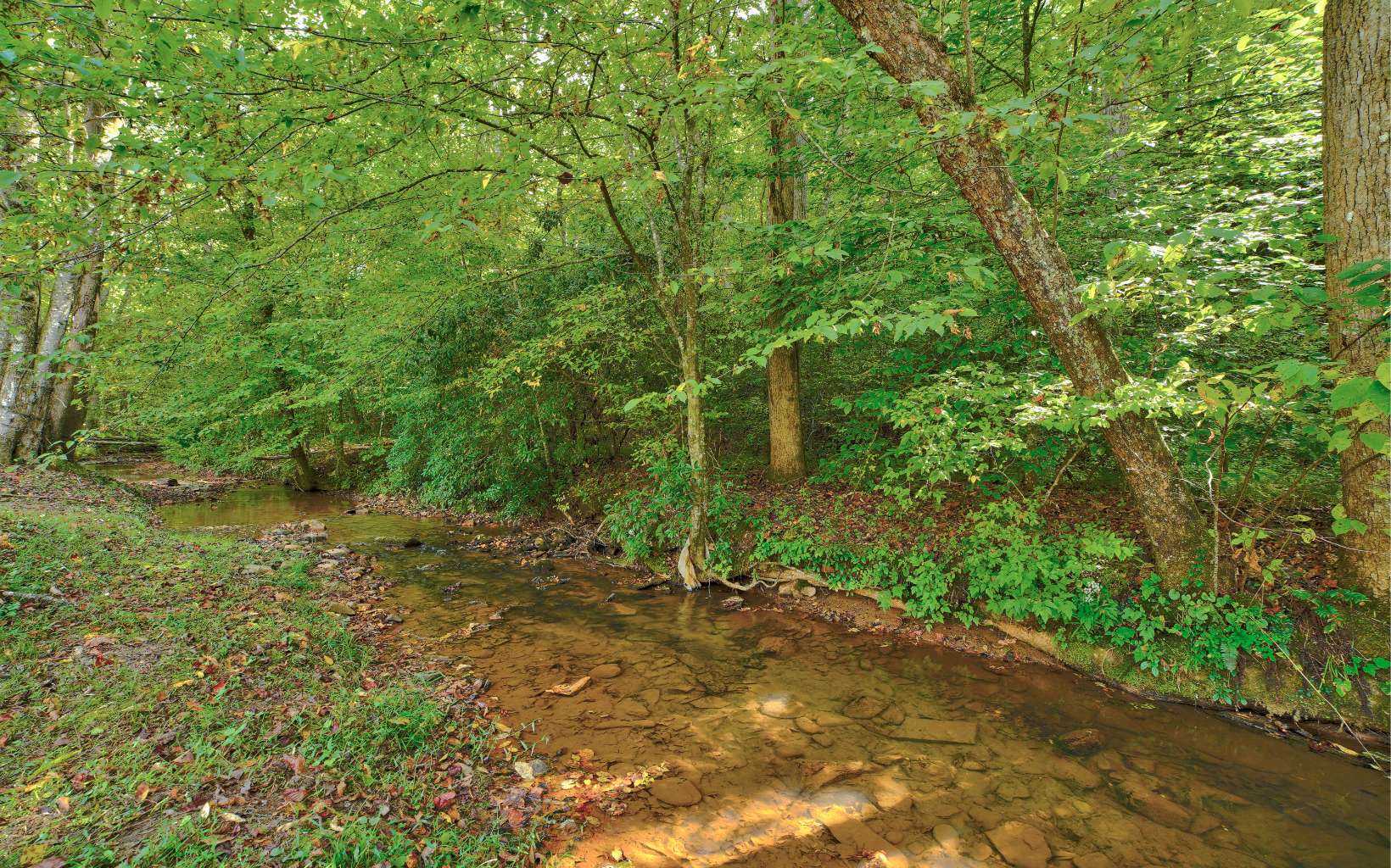 494 Berean Church Road