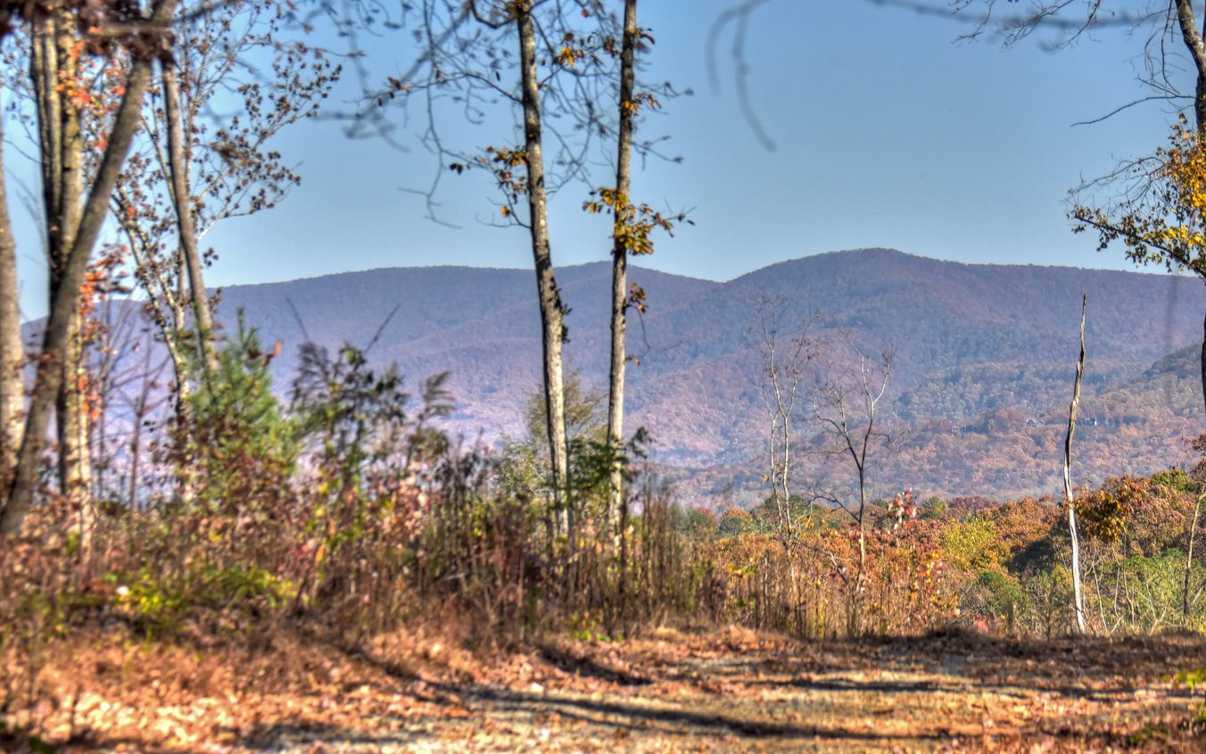 241 Roberts Ridge Road