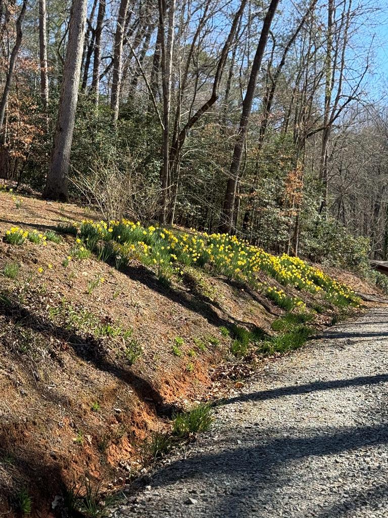 694 Northcutt Rd/Hwy 515