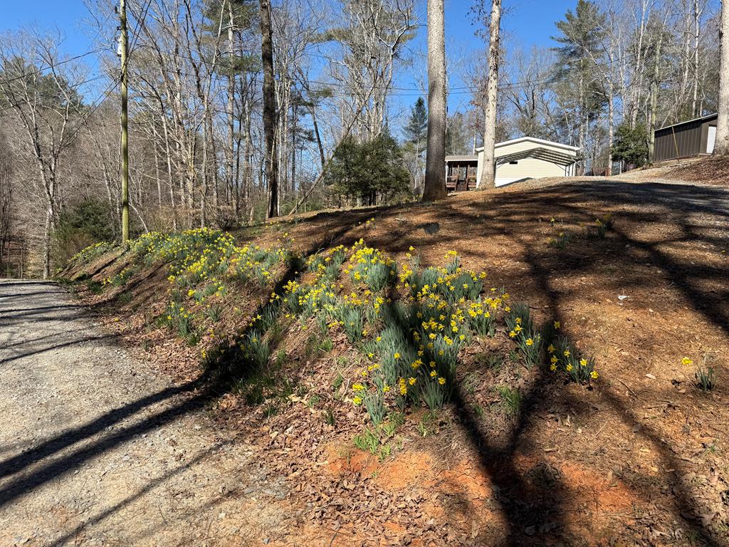 694 Northcutt Rd/Hwy 515