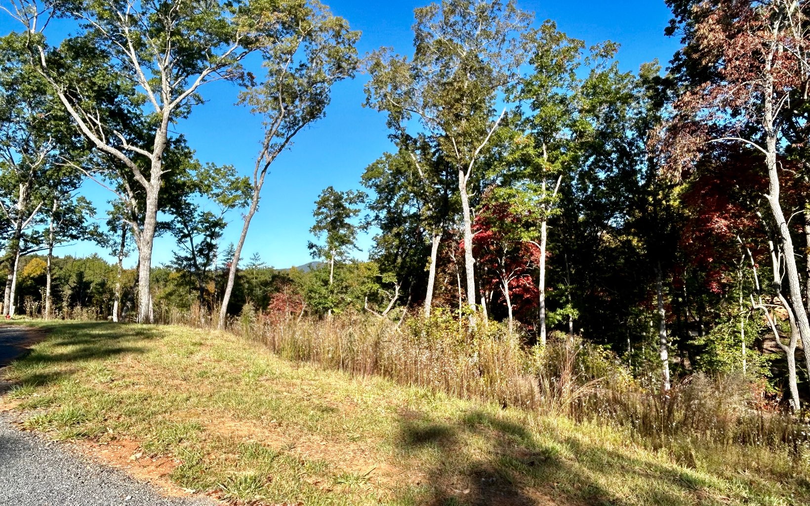Lot 305 Greenwood Court