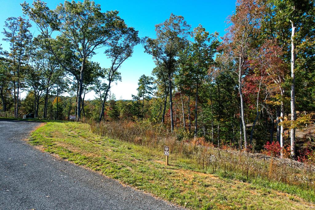 Lot 305 Greenwood Court